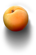 appricot